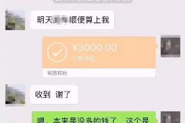 滨海滨海讨债公司服务